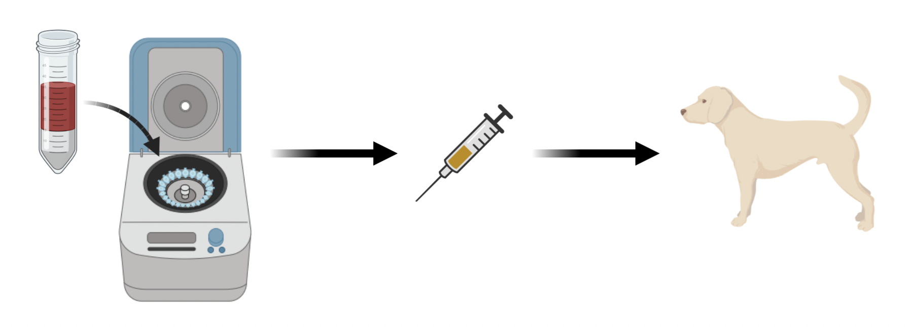 Illustration of a veterinary blood processing procedure by Ardent Animal Health.