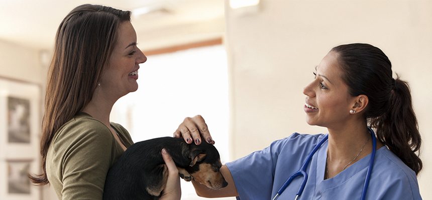 "Compassionate veterinarian from Ardent Animal Health caring for a patient with its owner.