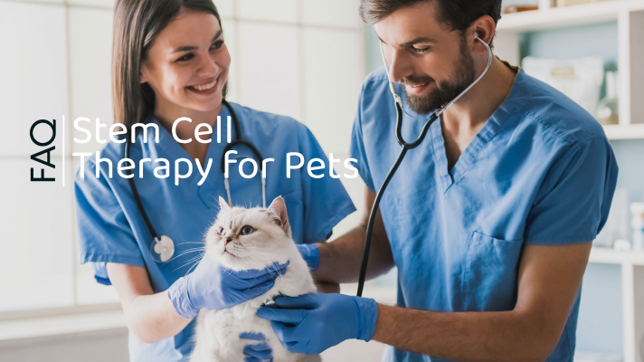 Stem Cell for Pets: Frequently Asked Questions