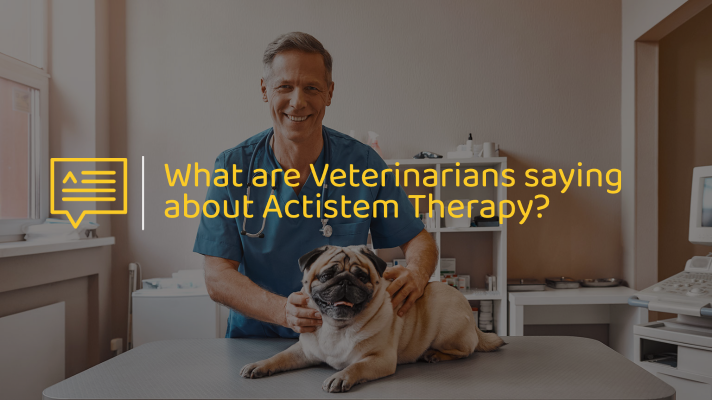What are Veterinarians saying about Actistem Therapy?