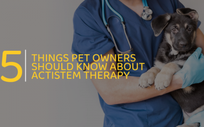 5 things every pet owner should know about Actistem Therapy