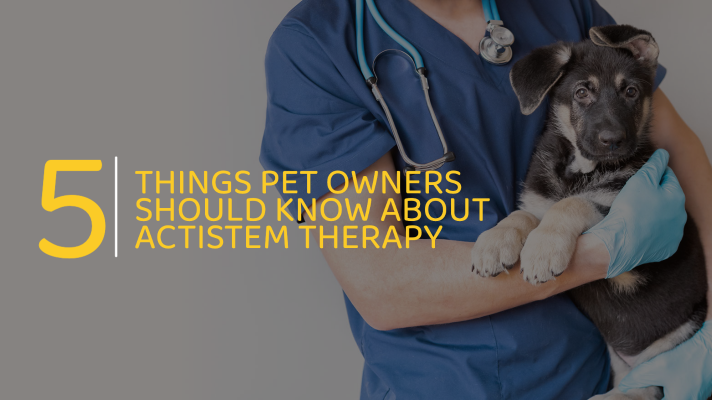 5 things every pet owner should know about Actistem Therapy