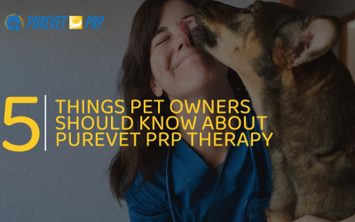 5 things every pet owner should know about PUREVET PRP Therapy