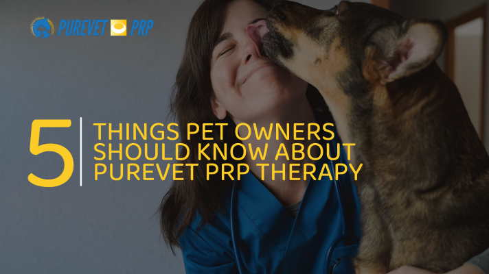 Informative graphic by Ardent Animal Health about PRP Therapy with a vet and dog demonstrating a close bond.