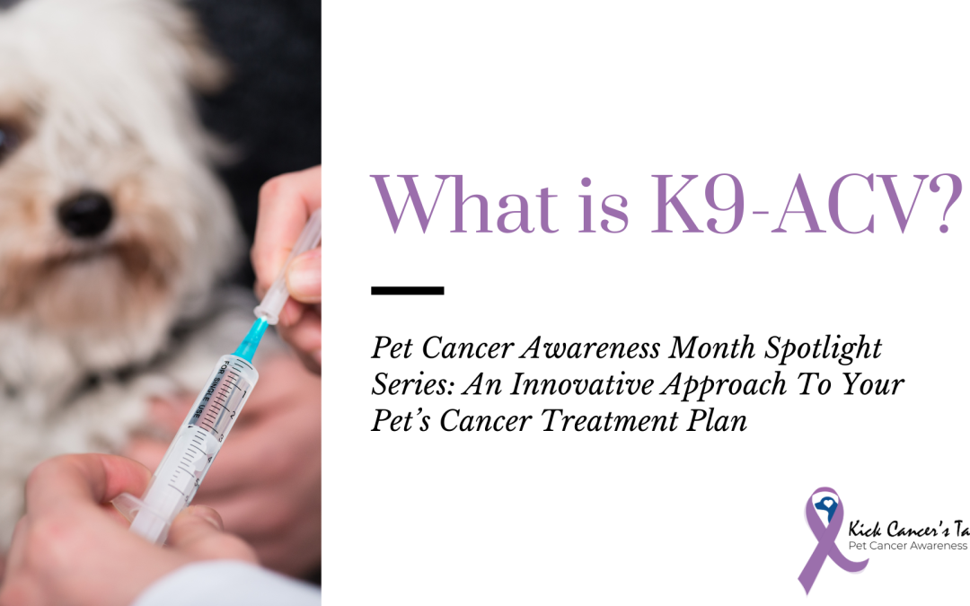 Pet Cancer Awareness Month Spotlight: What is K9-ACV. An innovative approach to your pet's cancer treatment plan