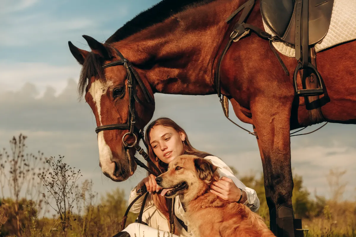 horse healthcare