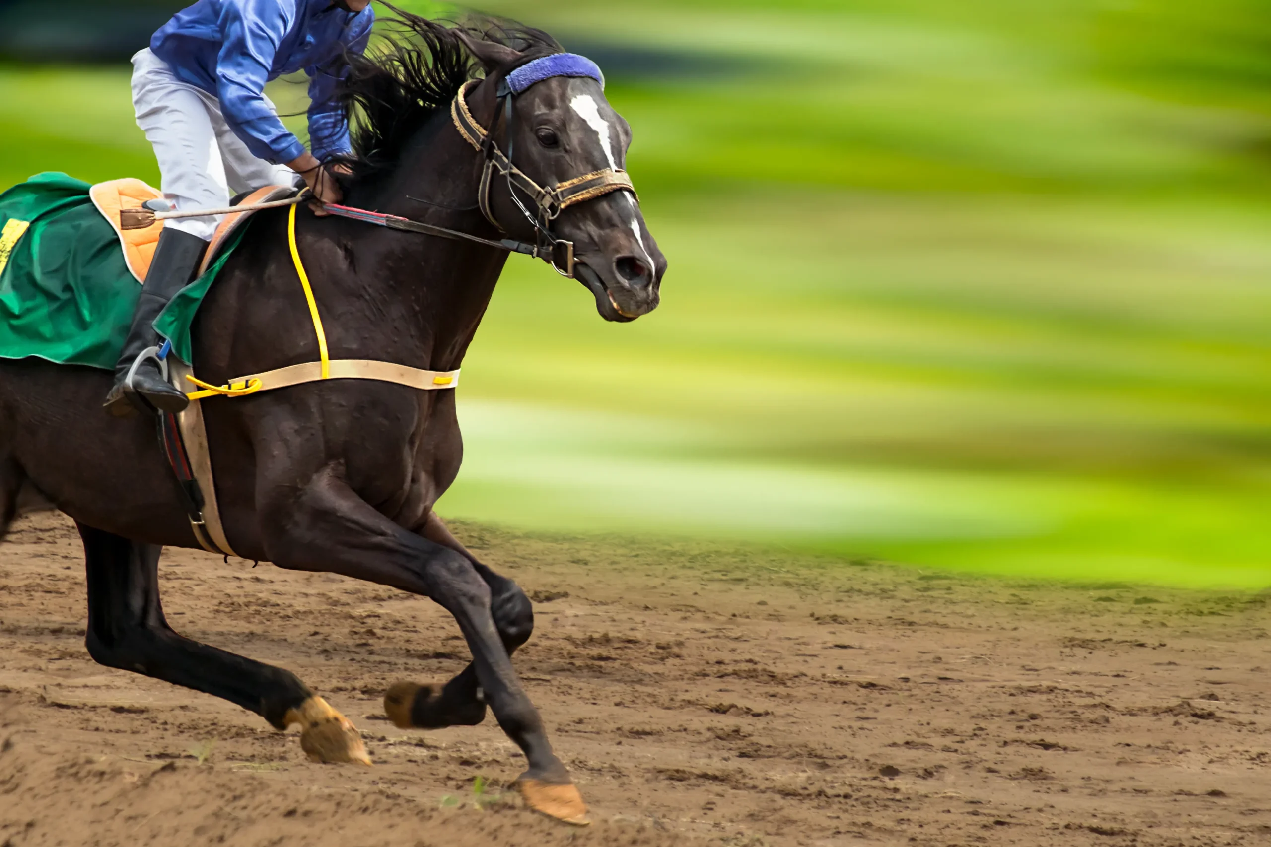 horse racing
