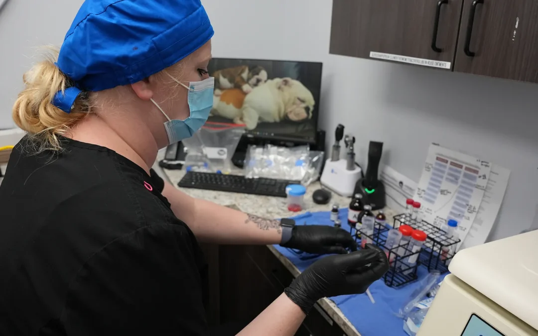 Centrifugation Force and Time in Canine PRP: What the Literature Suggests