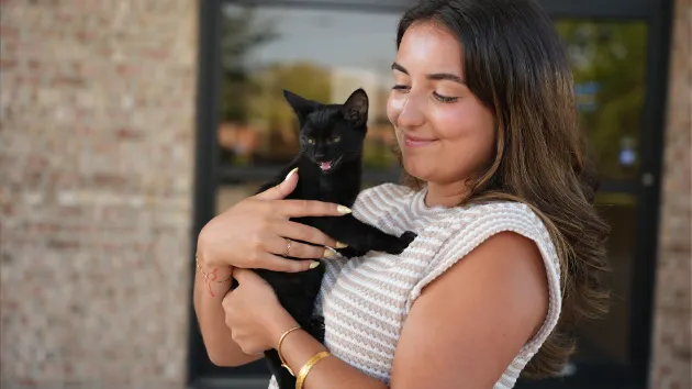 MSC Therapy for Feline