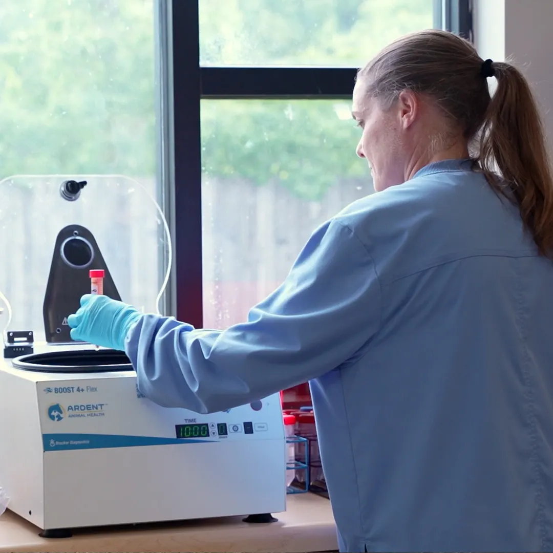 Regenerative Medicine - How it Works How it Works