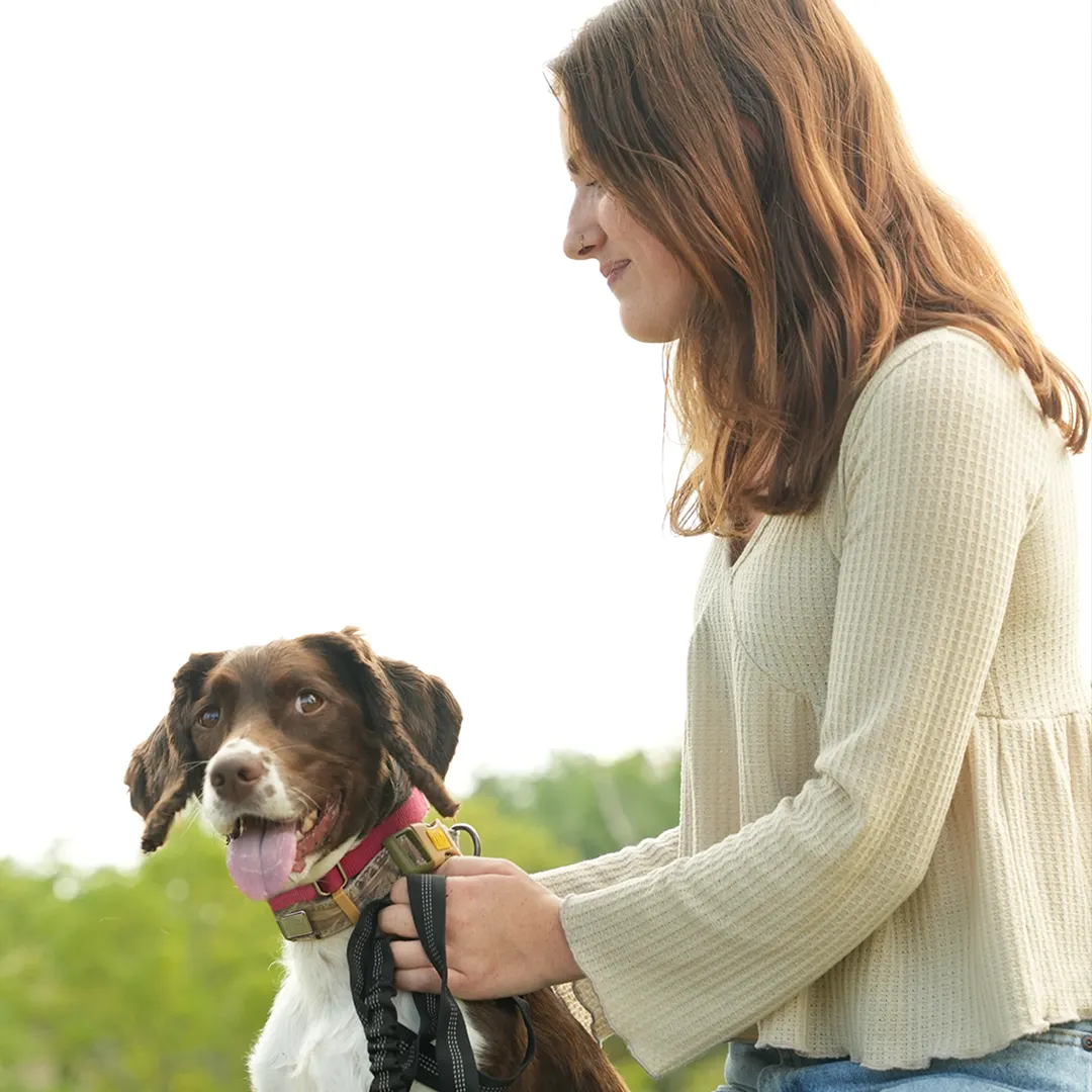 Regenerative Medicine - Why Pet Owners Why Pet Owners