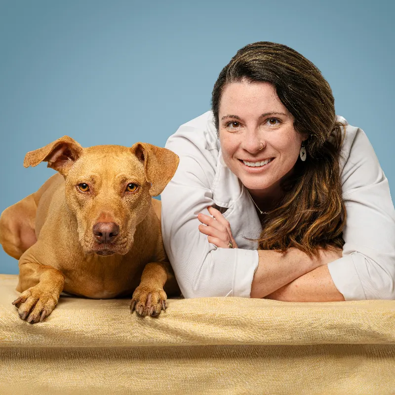 Abby Sullivan, DVM, CCRT