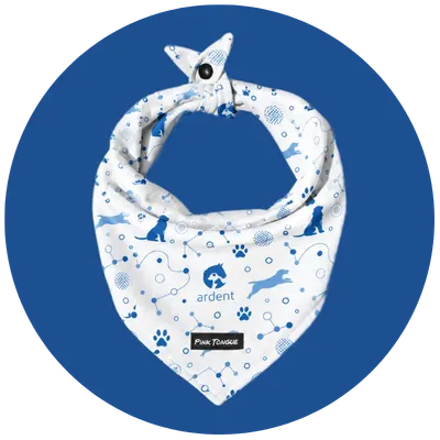 ardent bandana
